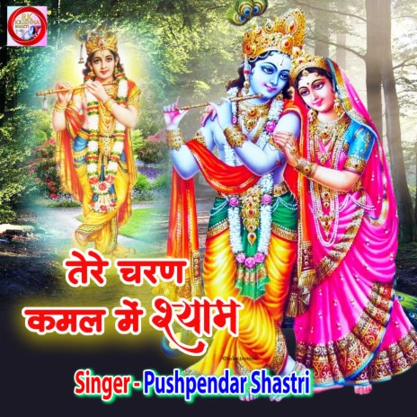 Tera Charan Kamal Me Shyam | Boomplay Music