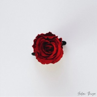 ROSES lyrics | Boomplay Music