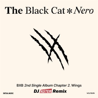 The Black Cat Nero (ASTER Remix) | Boomplay Music