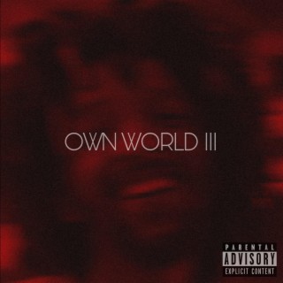 Own World III