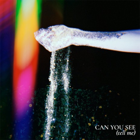 Can You See (Tell Me) | Boomplay Music