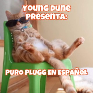 PURO PLUGG EN ESPAÑOL