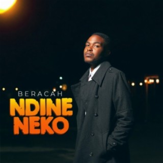 Ndineneko lyrics | Boomplay Music