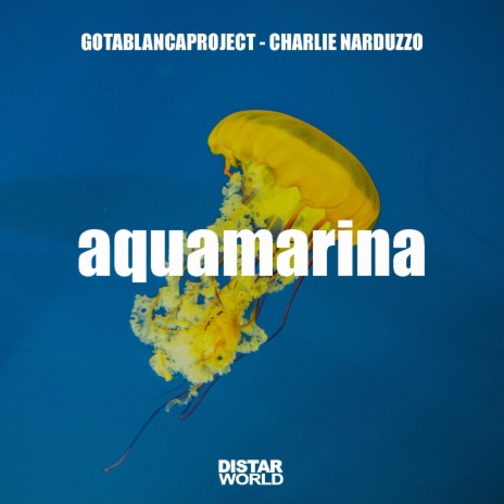 Aguamarina ft. Charlie Narduzzo | Boomplay Music