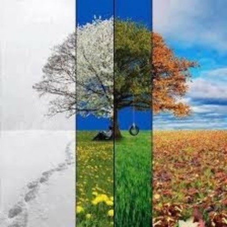 Four Seasons | Boomplay Music