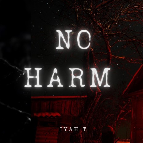 No Harm | Boomplay Music