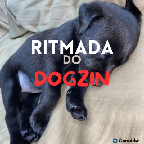 RITMADA DO DOGZIN | Boomplay Music