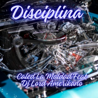 Disciplina