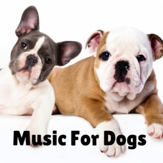 Music For Dogs