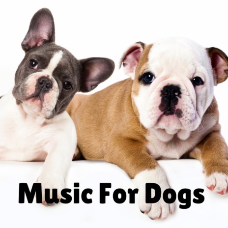 The Sand Man ft. Music For Dogs Peace, Relaxing Puppy Music & Calm Pets Music Academy | Boomplay Music