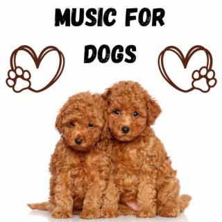 Music For Dogs