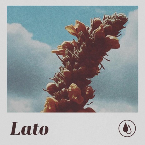 Lato | Boomplay Music