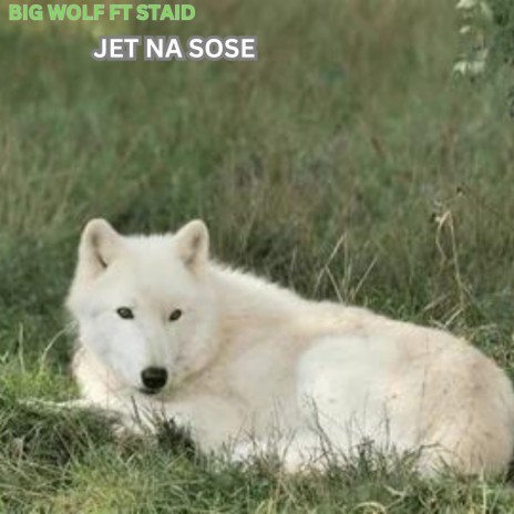 Jete Na Sose | Boomplay Music