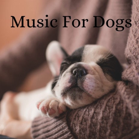 Ruff Night Sleep ft. Music For Dogs Peace, Relaxing Puppy Music & Calm Pets Music Academy