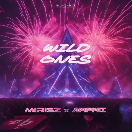 Wild Ones ft. Ampyre | Boomplay Music