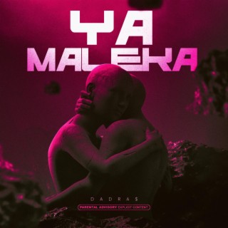 Ya Maleka lyrics | Boomplay Music