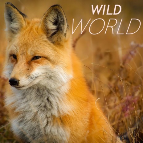 Wild World ft. Chronic Law & Big Smoak | Boomplay Music