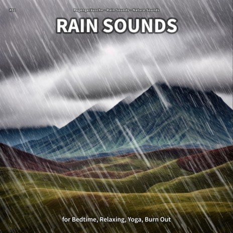 Rain Sounds, Pt. 20 ft. Rain Sounds & Nature Sounds