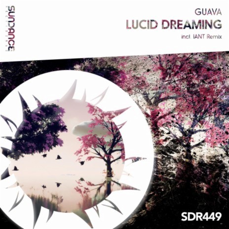 Lucid Dreaming (Radio Edit)