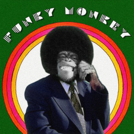 Funky Monkey | Boomplay Music