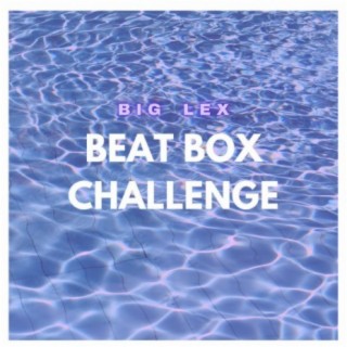 BeatBox Challenge