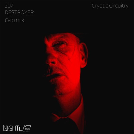 Destroyer (Calo Mix) | Boomplay Music