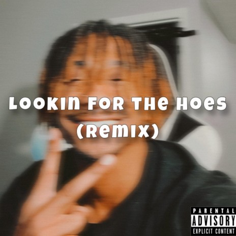 Lookin For the Hoes (Remix)