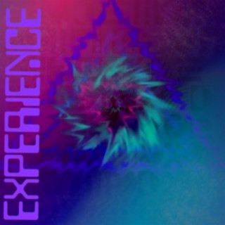 EXPERIENCE