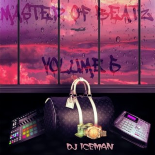 Master Of Beatz, Vol. 5