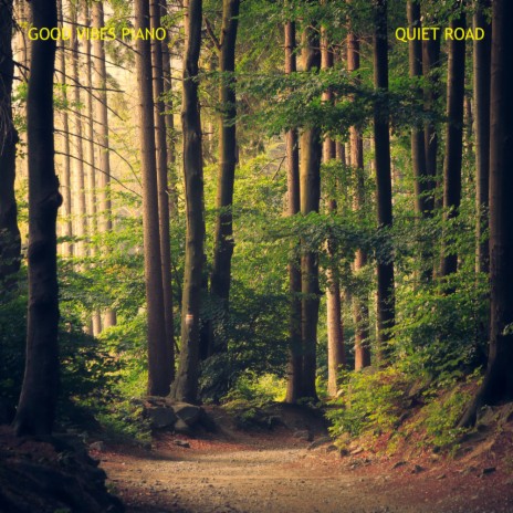 Quiet Road (Radio Edit) | Boomplay Music