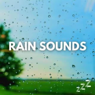 Rain Sounds for Sleeping 8 Hours (Loopable, No Fade)
