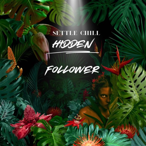 Hidden Follower | Boomplay Music