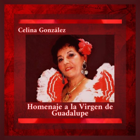 Homenaje a la Virgen de Guadalupe | Boomplay Music