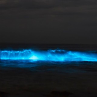 The Bioluminescent Beach | Guided Meditation for Sleep