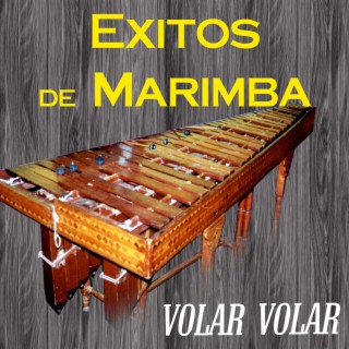 Éxitos de Marimba