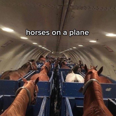 Horses On A Plane (Ready 4 The Rave) | Boomplay Music