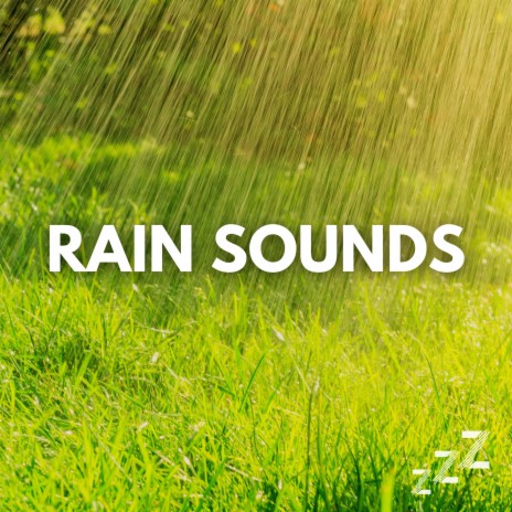 Night Rain & Soft Thunder (Loopable, No Fade) ft. Rain Sounds & Rain For Deep Sleep | Boomplay Music