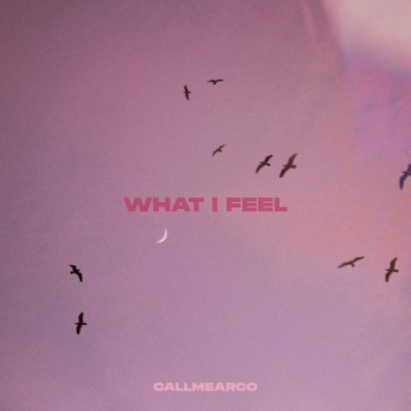 What I Feel | Boomplay Music