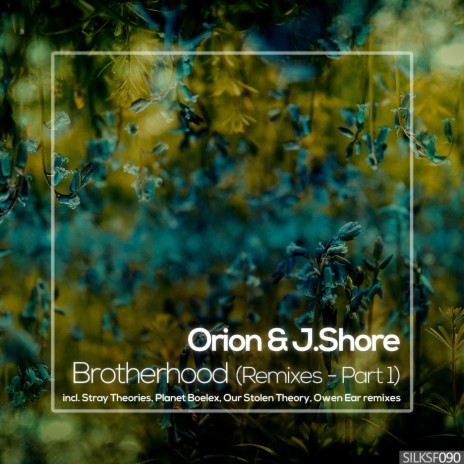 White Birds (Owen Ear Remix) ft. J.Shore | Boomplay Music