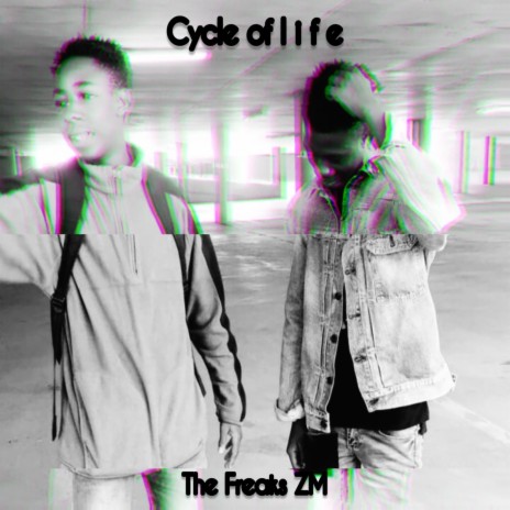 Cycle of life | Boomplay Music