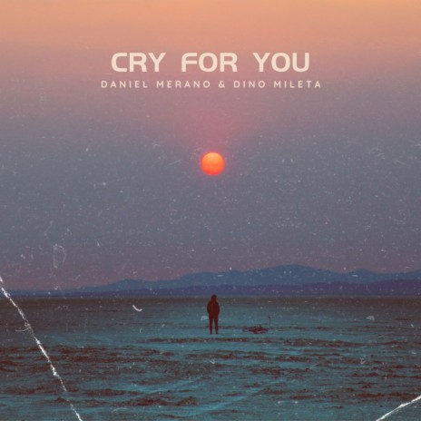 Cry for You (Radio Edit) ft. Dino Mileta | Boomplay Music