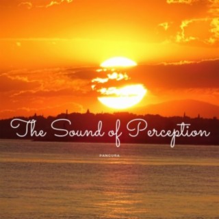 The Sound of Perception