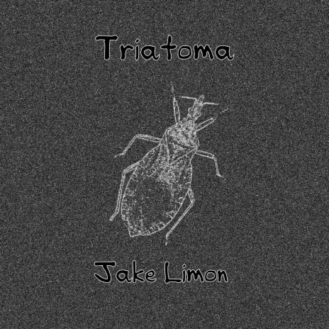 Triatoma