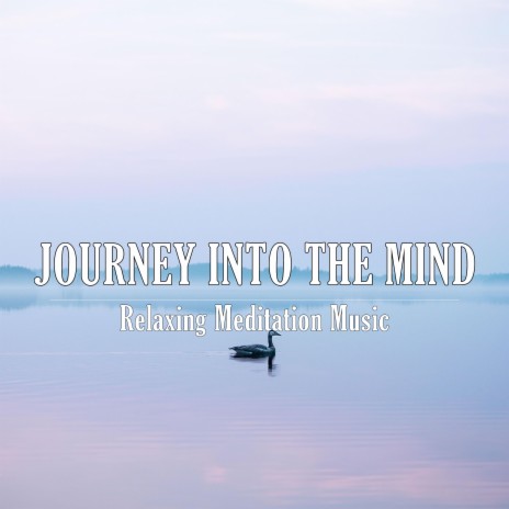 Journey into the mind