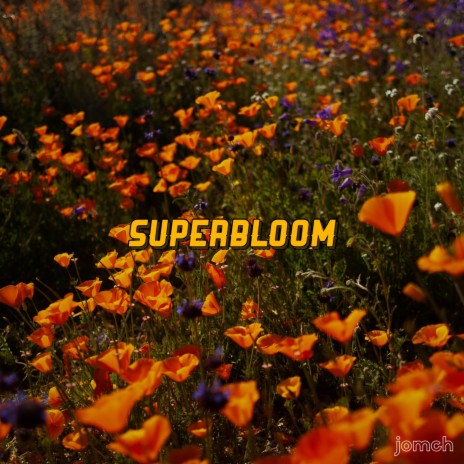 superbloom | Boomplay Music