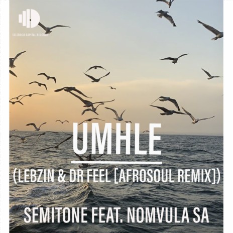 Umhle (Lebzin & Dr Feel AfroSoul Remix) (Radio Edit) ft. Nomvula SA