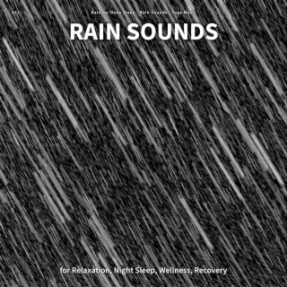 #01 Rain Sounds for Relaxation, Night Sleep, Wellness, Recovery