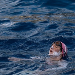 Ocean swimming... around Lord Howe Island