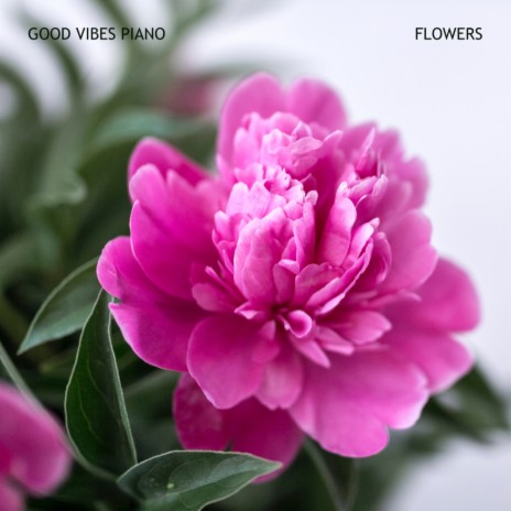 Flowers (Radio Edit) | Boomplay Music