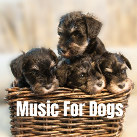 Zero Bark Thirty ft. Music For Dogs Peace, Relaxing Puppy Music & Calm Pets Music Academy | Boomplay Music